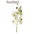 Phalaenopsis ág 60cm - Zöld