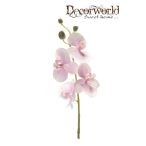 Phalaenopsis száras 60cm - Rózsaszín