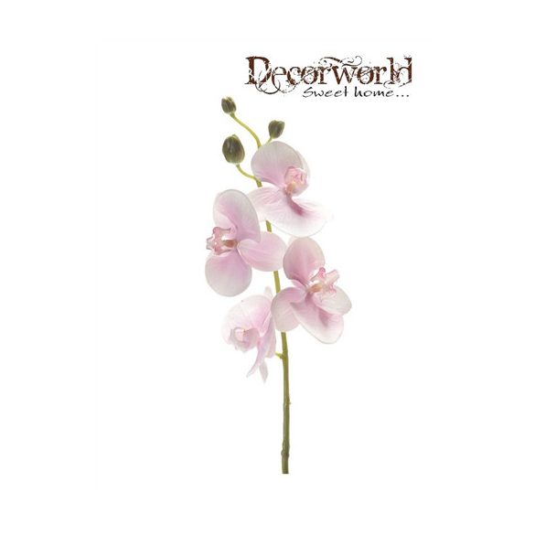 Phalaenopsis száras 60cm - Rózsaszín