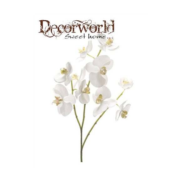 Phalaenopsis ág x3 60cm - Fehér