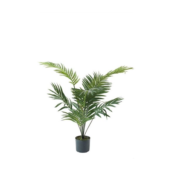 Paradise pálma 90cm/ 9 levél (műanyag cserépen)