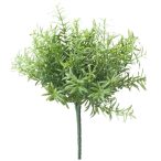 Rozmaring bokor 22cm - Világoszöld