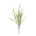 Pennisetum spray 70cm - Krém