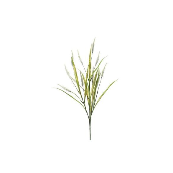 Pennisetum spray 70cm - Krém