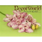 Cymbidium ág 68cm - Rózsaszín