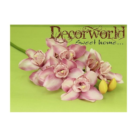 Cymbidium ág 68cm - Rózsaszín