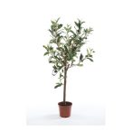 Oliva mini fa 65cm/ 273 levél(műanyag cserépben)