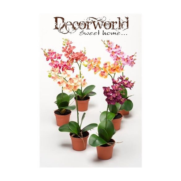 Phalaenopsis Mix 6 színben 40cm