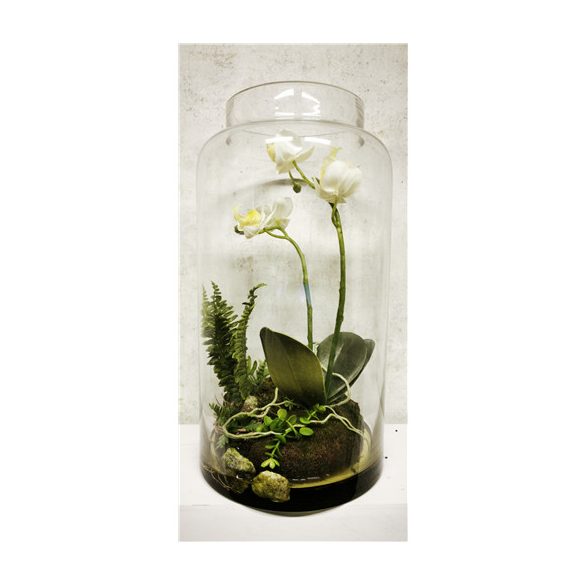 Phalaenopsis mini garden üvegben 40cm - Fehér