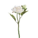 Peónia ág bimbóval 35 cm - Krém