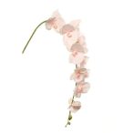 Phalaenopsis Nagy szál rózsaszín 140cm