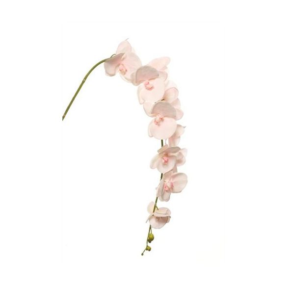 Phalaenopsis Nagy szál rózsaszín 140cm