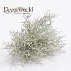 Calocephalus bokor 20cm szürke