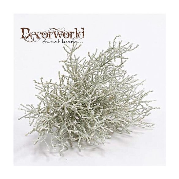 Calocephalus bokor 20cm szürke