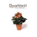 Korallvirág 25cm - Narancssárga/piros (agyag cserépben)