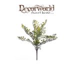 Adianthus bokor x11 30cm