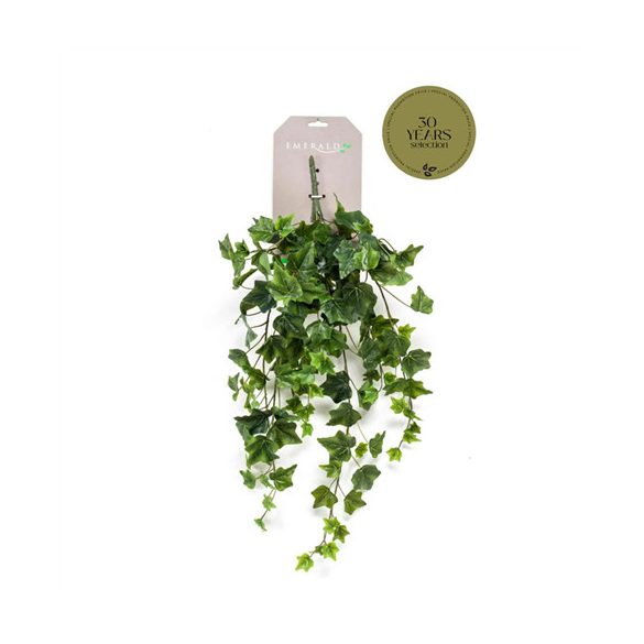 Ivy hanging csüngő bokor 70cm - Zöld