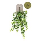 Ivy hanging bush csüngő bokor 70cm - Zöld/sárga