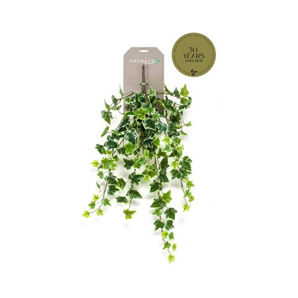 Ivy hanging bush csüngő bokor 70cm - Zöld/sárga
