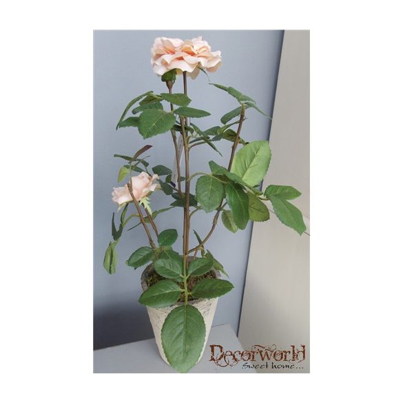 Rózsa Patio 35cm barack antik cserépben