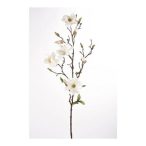 Magnolia wild szál 75cm krém