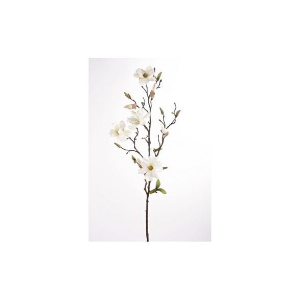 Magnolia wild szál 75cm krém