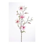 Magnolia wild szál 75cm rózsaszín