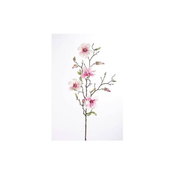 Magnolia wild szál 75cm rózsaszín