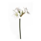 Eucharis szál 60cm fehér