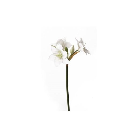 Eucharis szál 60cm fehér