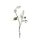 Syringa ág x2 50cm - Krém