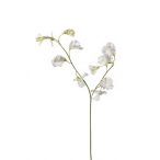 Lathyrus spray x2 50cm - Fehér/zöld