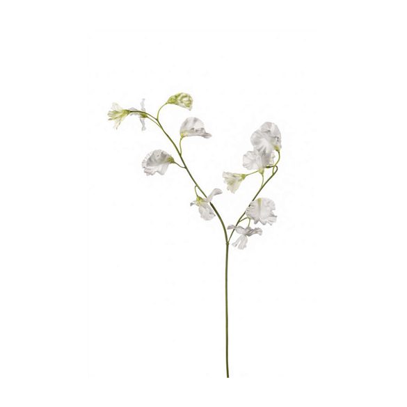 Lathyrus spray x2 50cm - Fehér/zöld