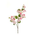 Hortenzia anomala ág 95cm - Rózsaszín