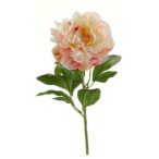 Peony spray 65cm - Krém/mályva