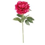 Peony spray 65cm - Beauty