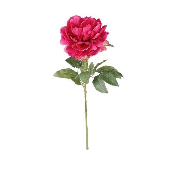 Peony spray 65cm - Beauty