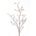 Juhar Gyümölcsös Ág rózsaszín 110cm