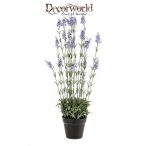 Levendula bokor 80cm világos kék műanyag cserépben 16 cm