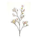 Magnolia spray 105cm - Krém/rózsaszín