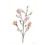 Magnolia spray 105cm - Rózsaszín