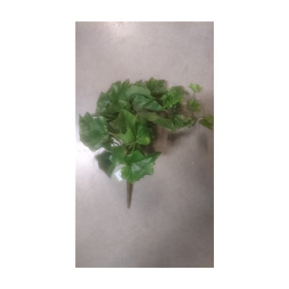 Borostyán bokor 40cm zöld