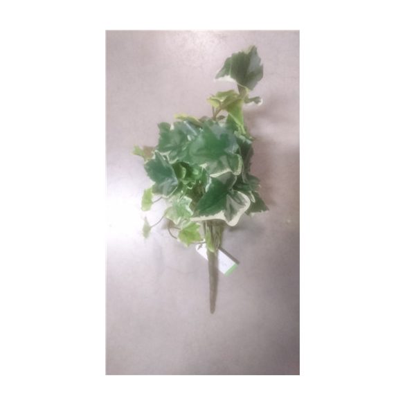 Borostyán bokor 40cm zöld/fehér
