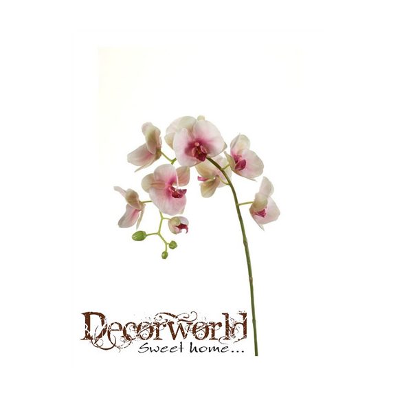 Phalaenopsis Orchidea ág x8 rózsaszín 95cm