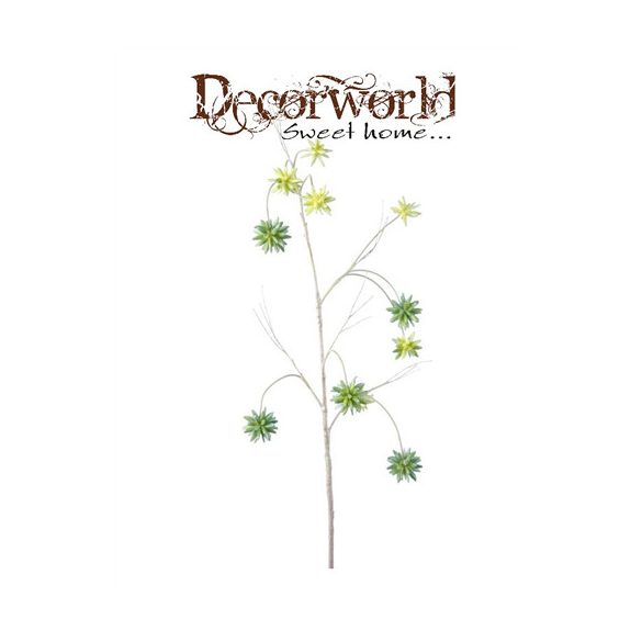 Catalpa gyümölcs ág 105cm