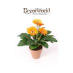   Gerbera bokor 30cm világos narancssárga (11cm agyag kaspóban)