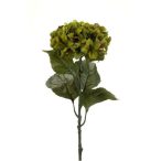 Hydrangea spray 80cm - Zöld