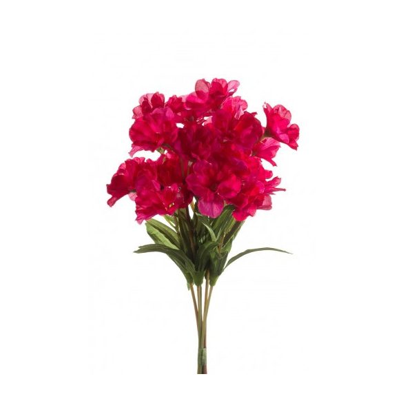 Virágzó Kankalin csokor x5 25cm - Tüzes rózsaszín