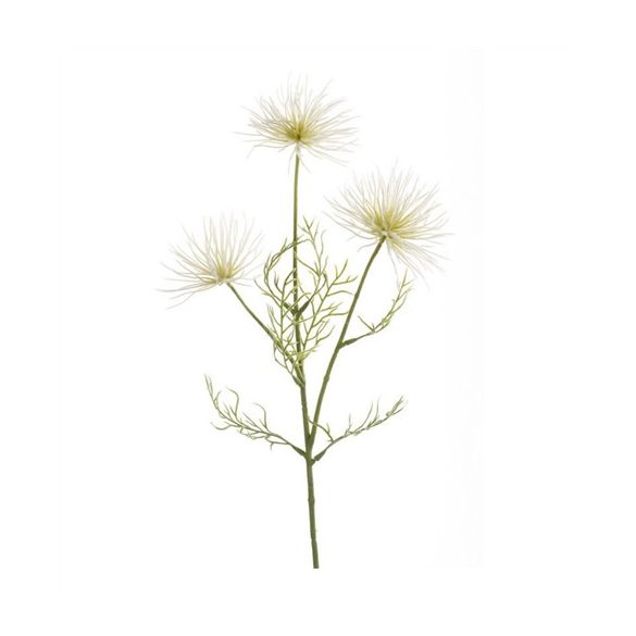 Anemone seed spray x3 65cm - Krém