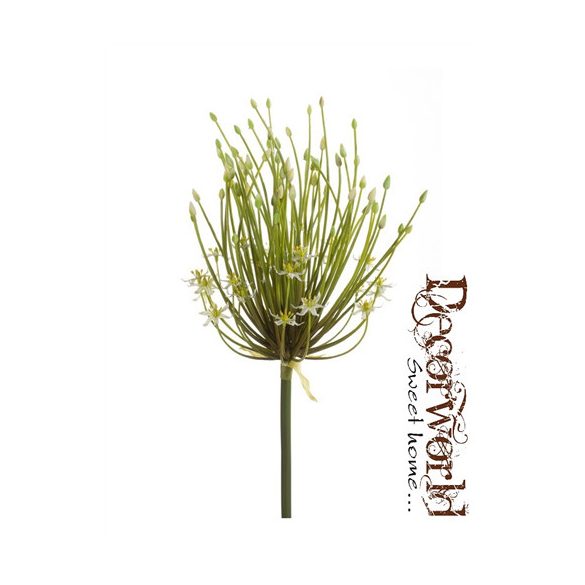 Allium dupla virágos ág krém 100cm